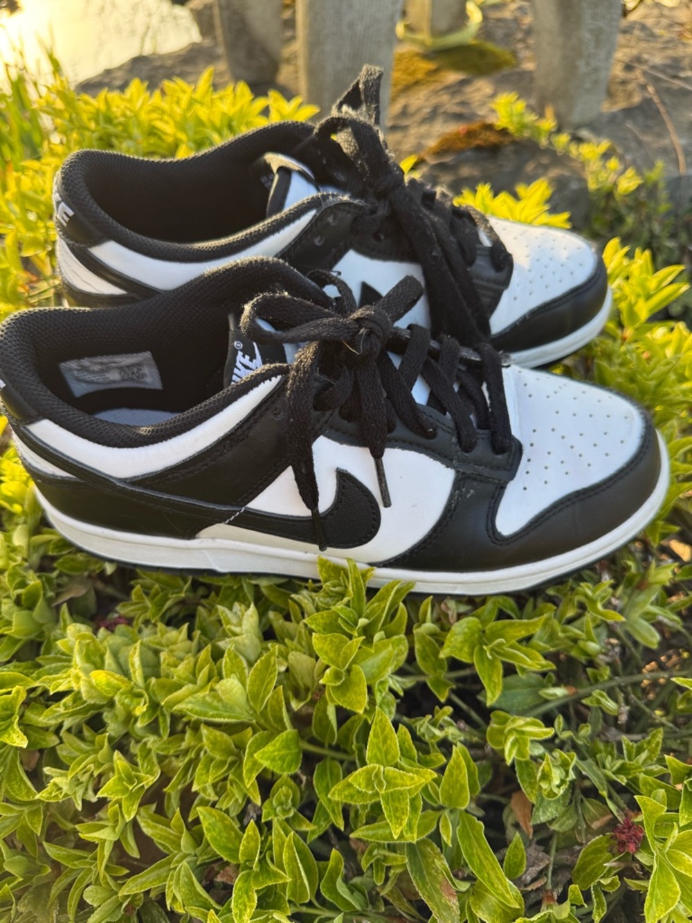 Nike Dunks